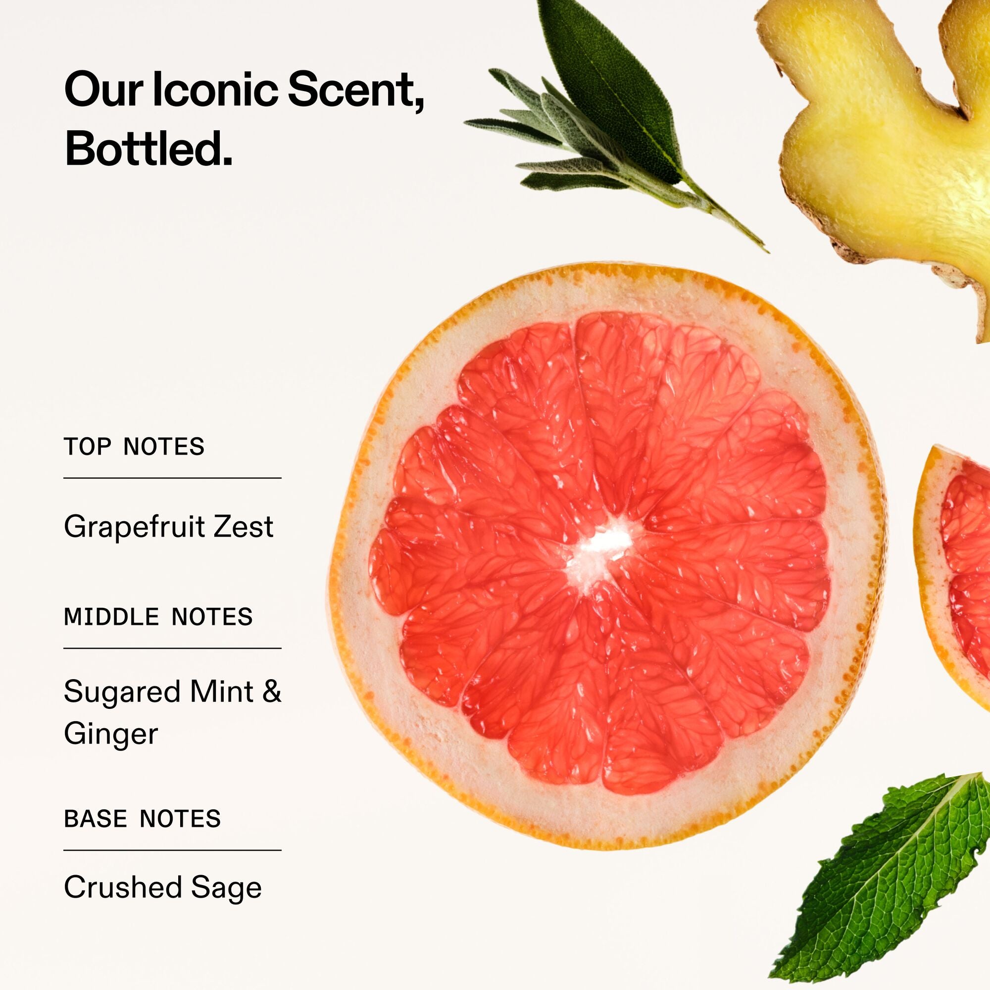 THE WASH DAY ESSENTIALS - Image 7