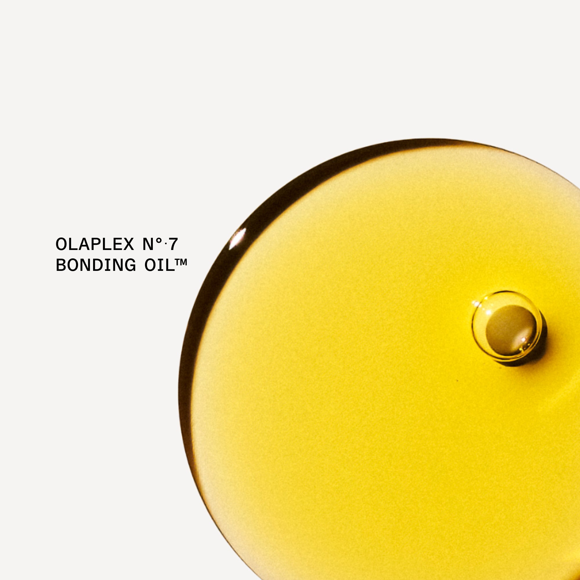 THE KEY TO SHINE SET - Image 9
